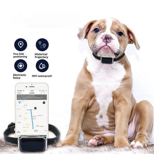 Discover the G12 Smart GPS Anti-Lost Tracker