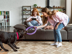 Exciting and Engaging Toys for Happy Pets