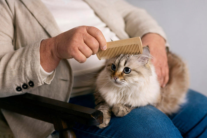 Gentle Grooming Tools for Clean Happy Pets