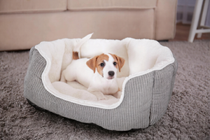 PET BEDS FOR COMFORTABLE SLEEP