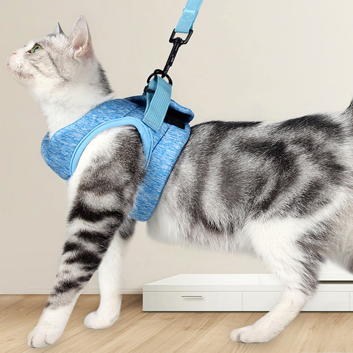 Breathable Lace Style Pet Chest Strap Lightweight Leash