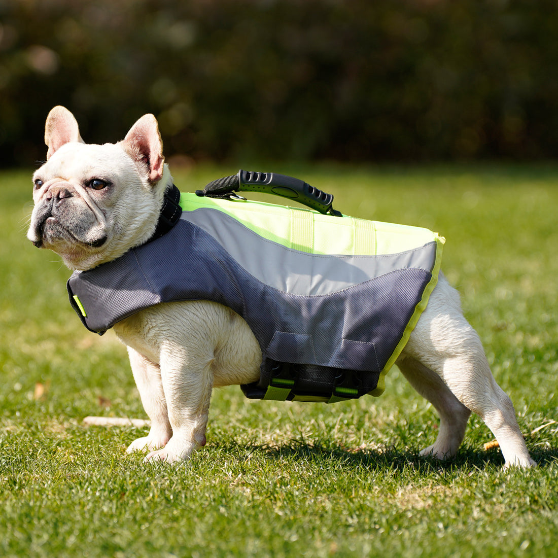 Reflective Pet Swim Safety Life Jacket Buoyancy Vest