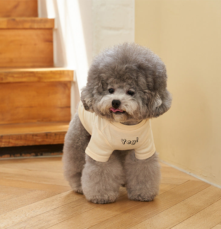 Korean Style Pet Cotton T Shirt Color Print Apparel