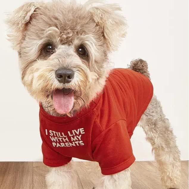 Round Neck Pet T Shirt Lightweight Comfortable Clothing