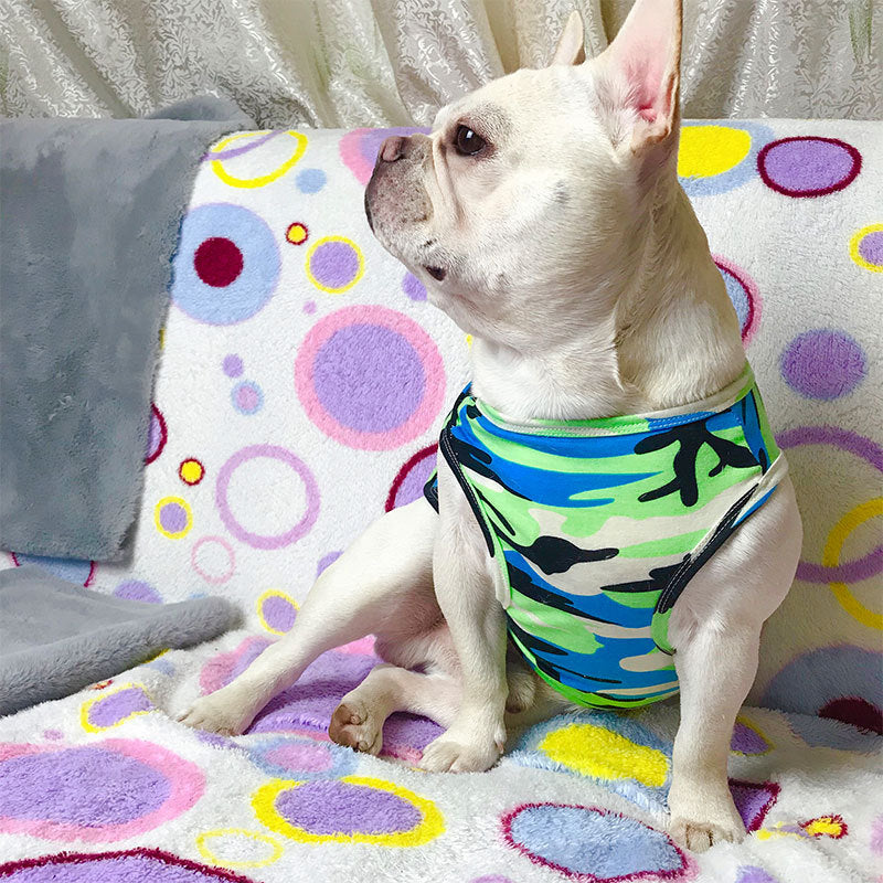 Pet Summer Fashion T Shirt Lightweight Apparel