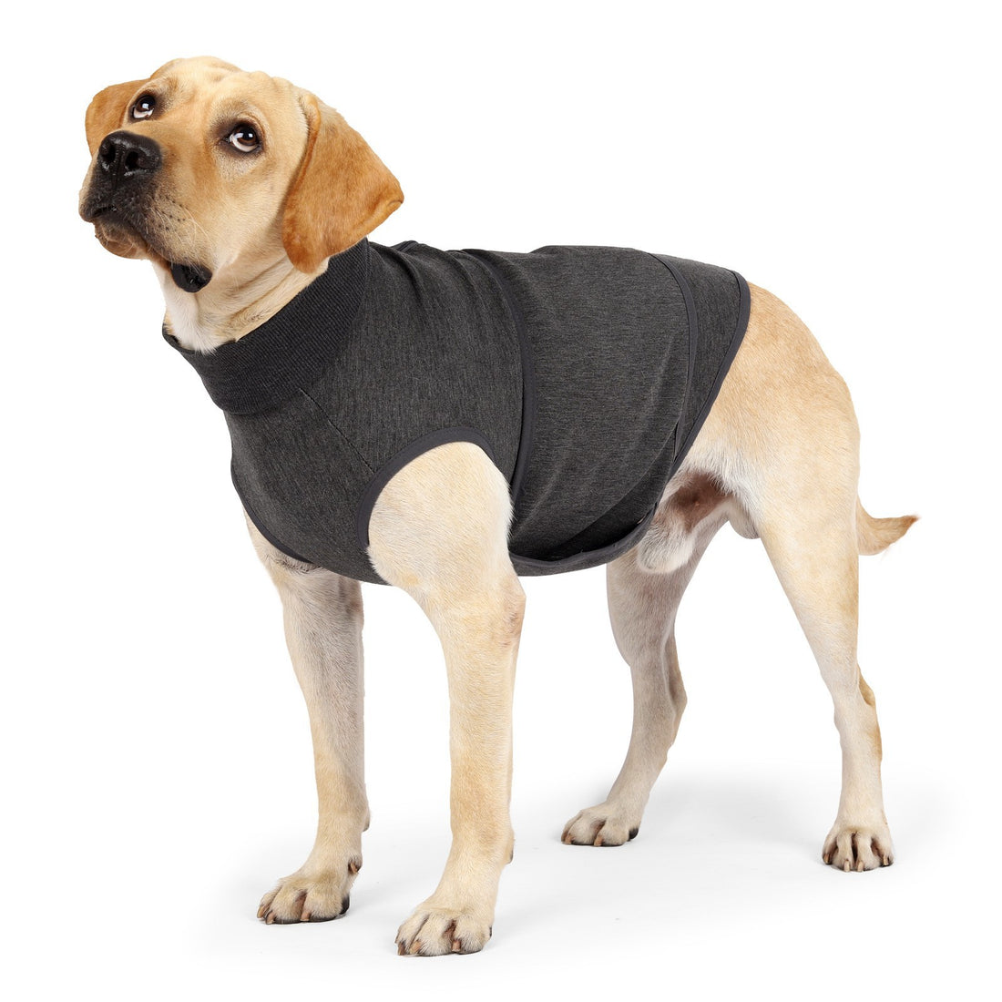 Pet Emotional Comfort Double Layer Cotton Jacket Apparel