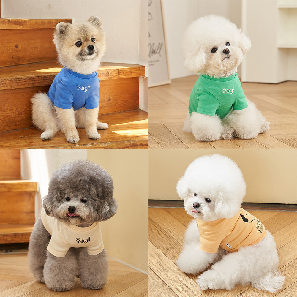 Korean Style Pet Cotton T Shirt Color Print Apparel