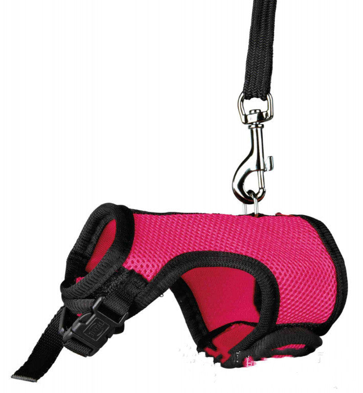 Lightweight Small Pet Leash Adjustable Walking Lead