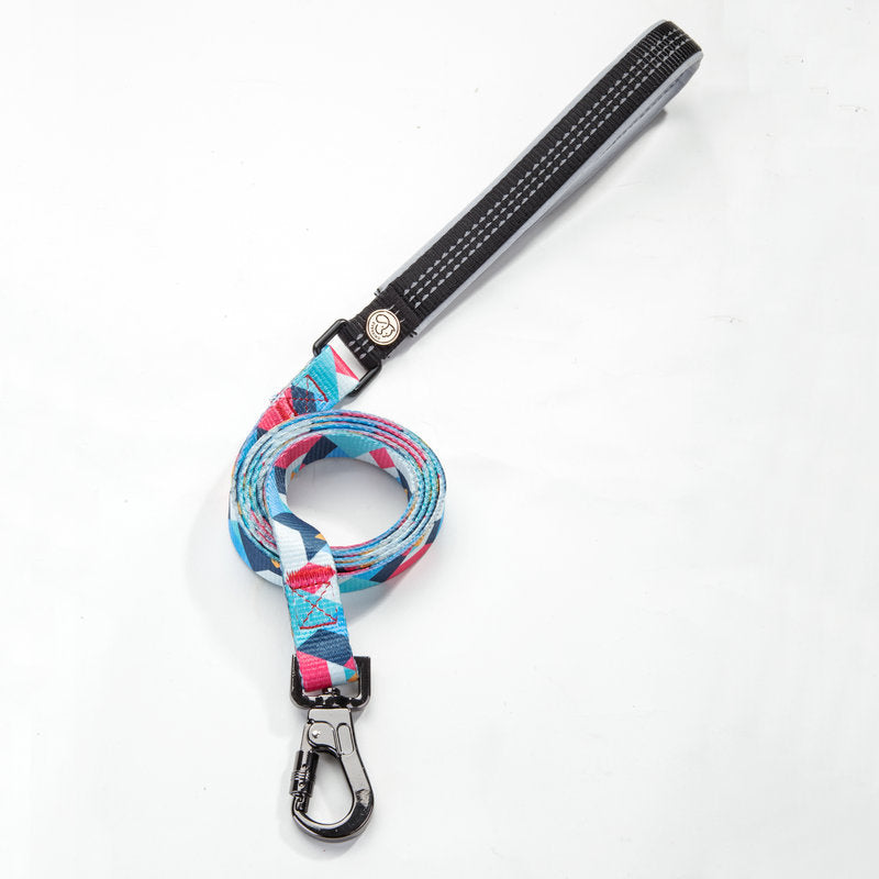 Durable Pet Leash Strong Adjustable Walking Lead