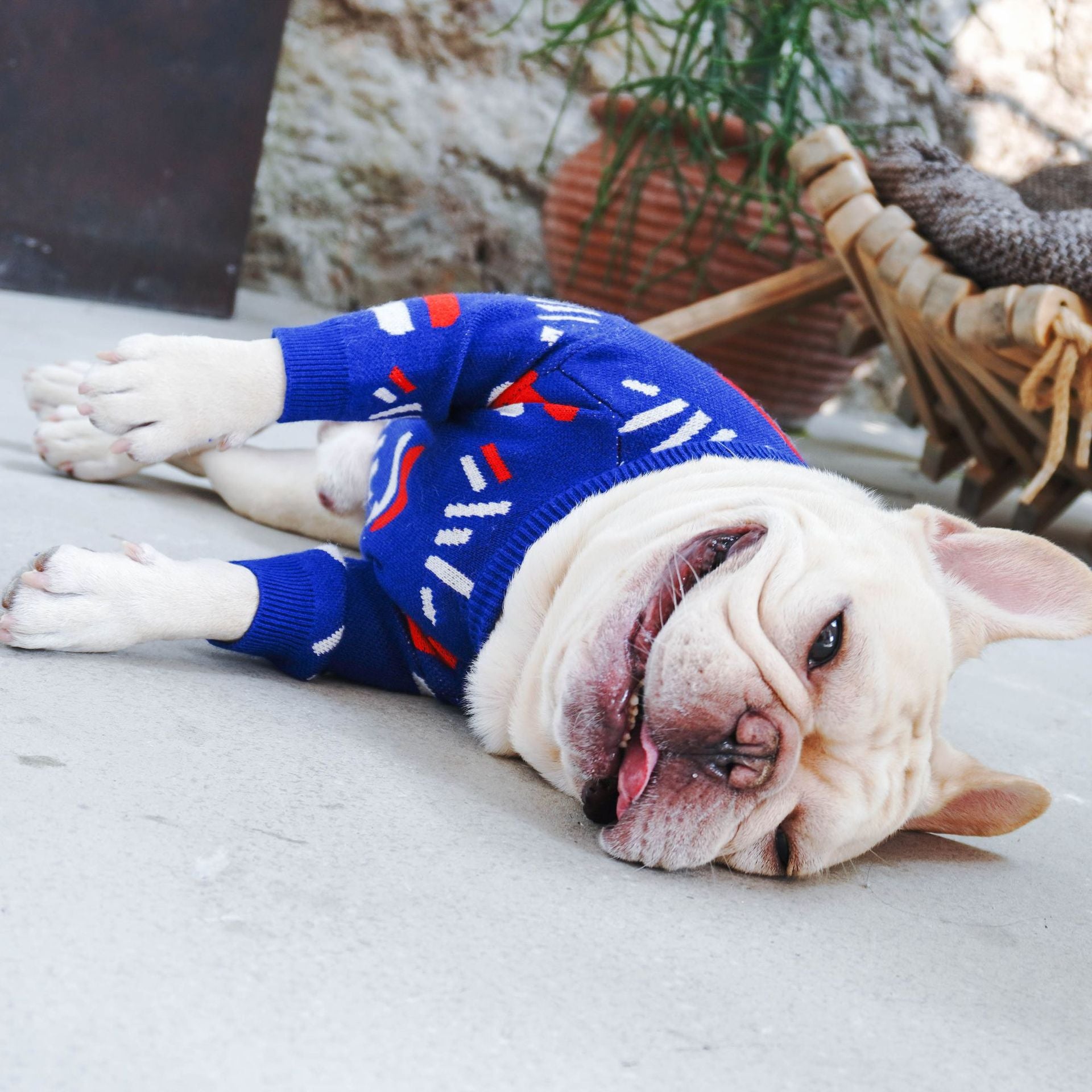 Pet Pug Sweater Warm Clothing Apparel Knit Wear