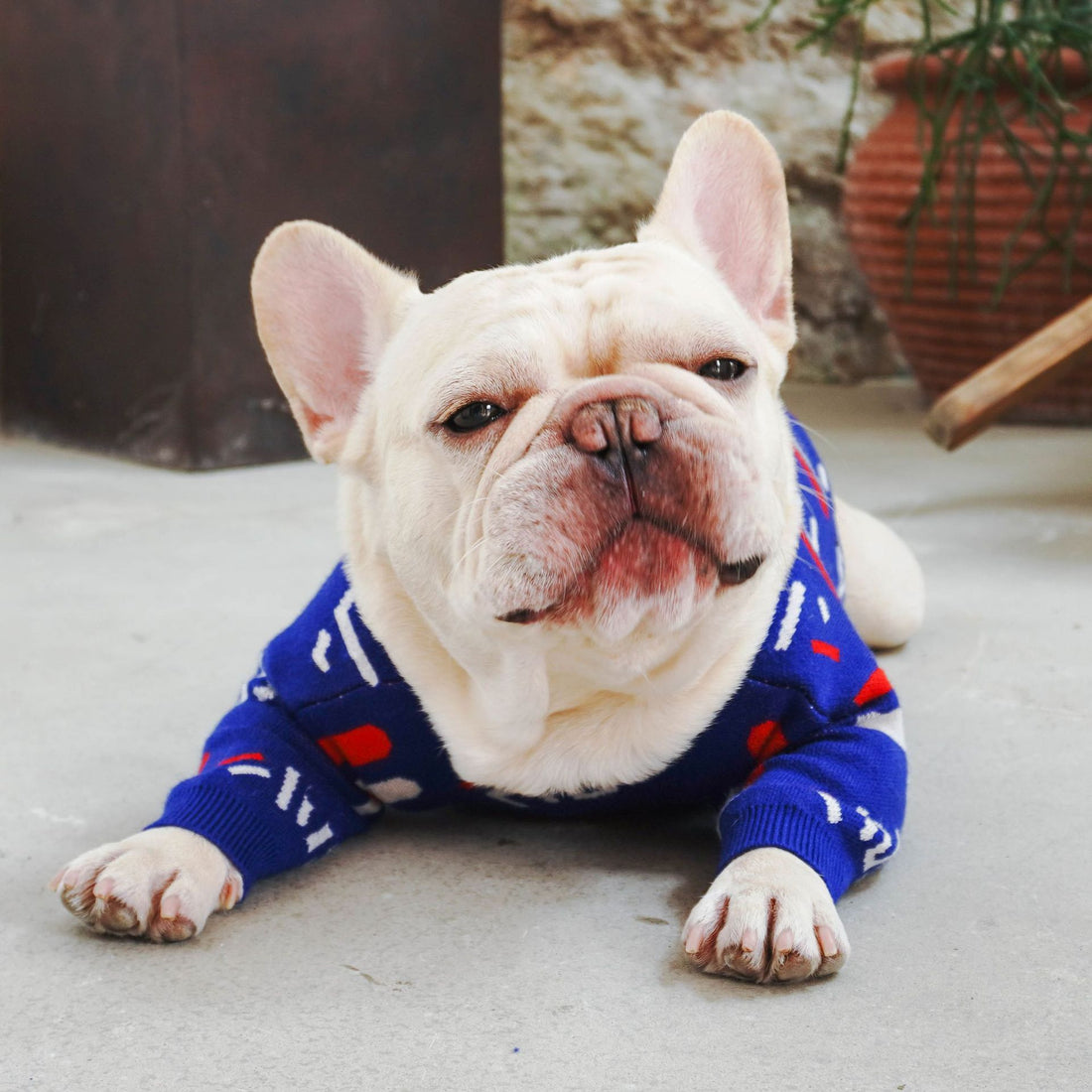 Pet Pug Sweater Warm Clothing Apparel Knit Wear