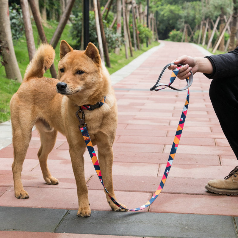 Durable Pet Leash Strong Adjustable Walking Lead