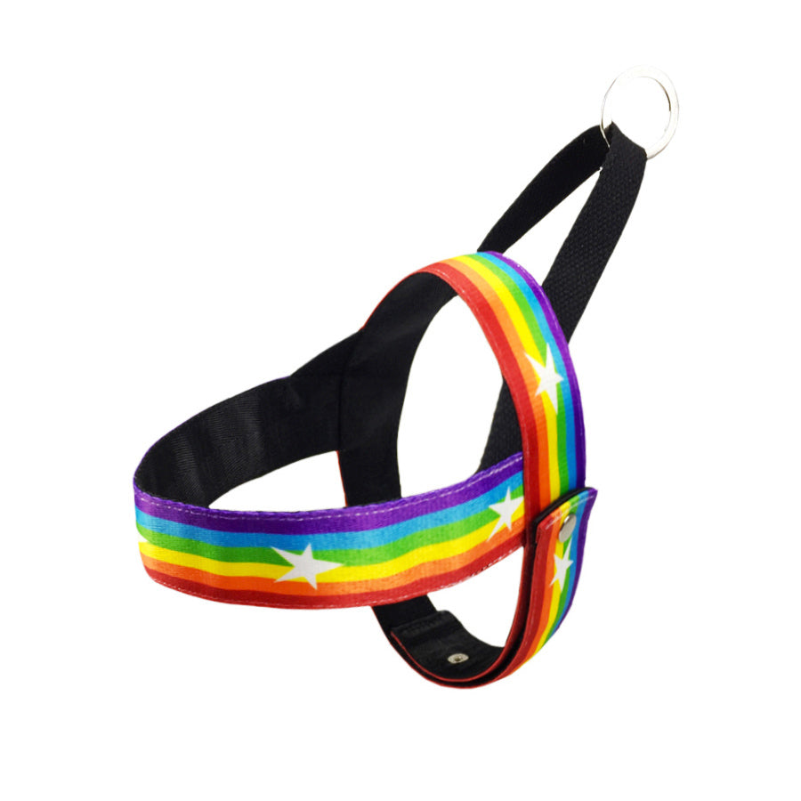 Rainbow Style Pet Chain Leash For Walking Control