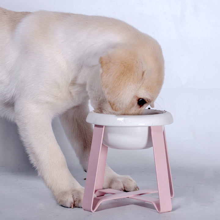 Anti Slip Pet Dual Bowl With Iron Stand Feeder Set