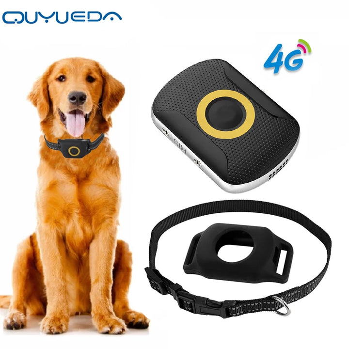 Personal GPS Tracker A29 With Medicine Reminder Waterproof Collar
