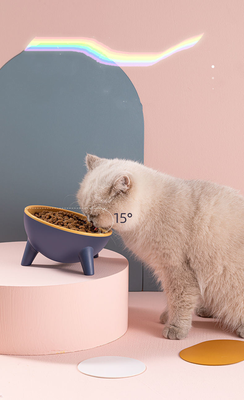 Nordic Pet Feeding Bowl With Stand Food Water Set