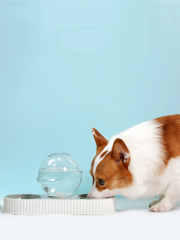 Automatic Pet Feeding And Water Bowl Dispenser Set