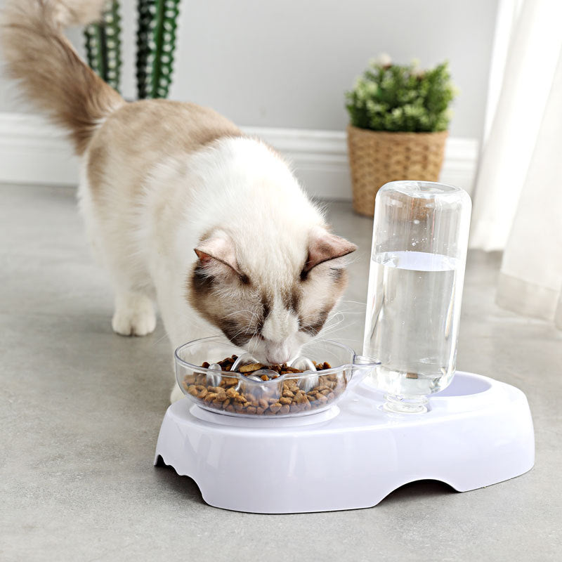 Transparent Pet Feeding And Drinking Bowl Set