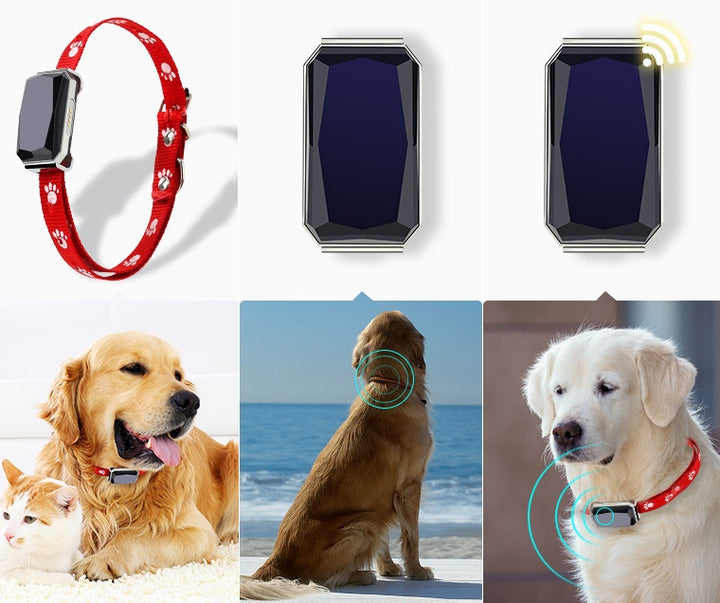 Beidou GPS Positioning Collar