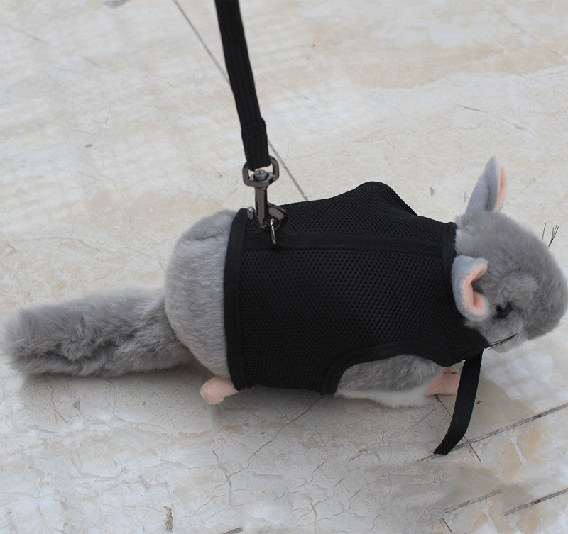Lightweight Small Pet Leash Adjustable Walking Lead