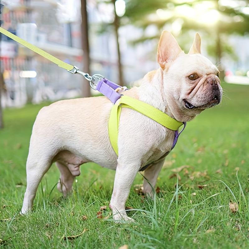 Rainbow Colorblock Anti Escape Pet Harness Set With Leash