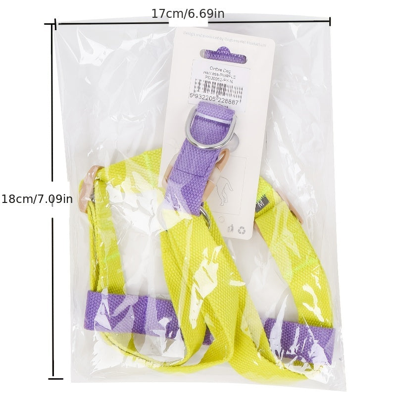 Rainbow Colorblock Anti Escape Pet Harness Set With Leash