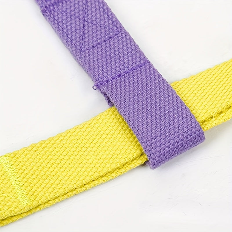 Rainbow Colorblock Anti Escape Pet Harness Set With Leash