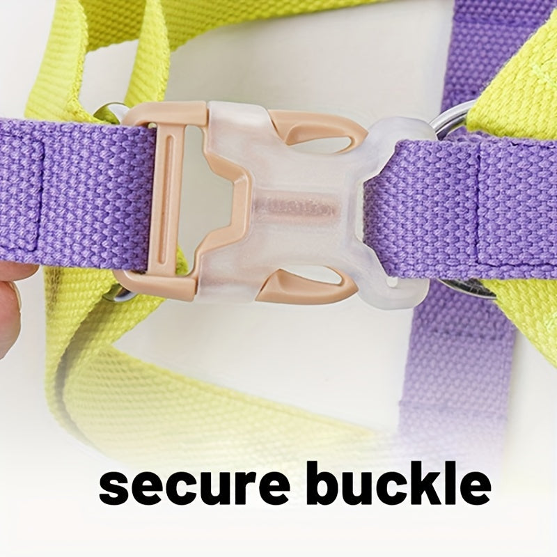 Rainbow Colorblock Anti Escape Pet Harness Set With Leash