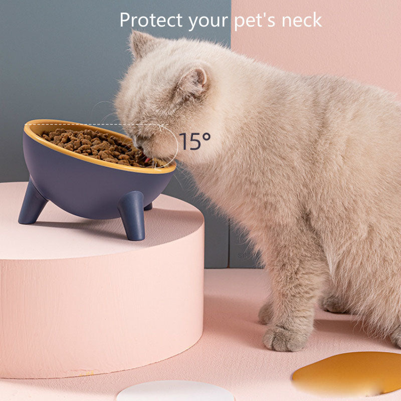 Nordic Pet Feeding Bowl With Stand Food Water Set