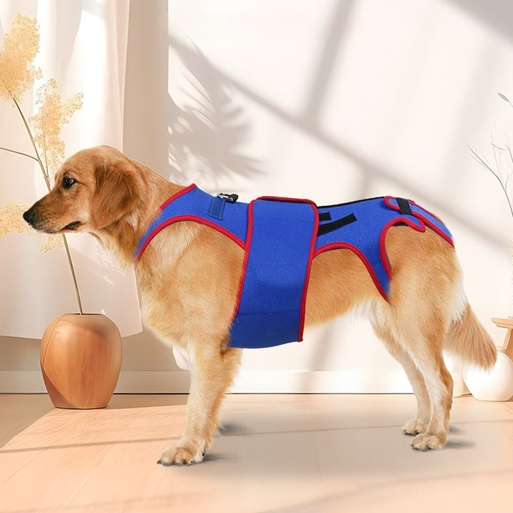 Pet Spine Support Jacket For Posture Correction And Comfort
