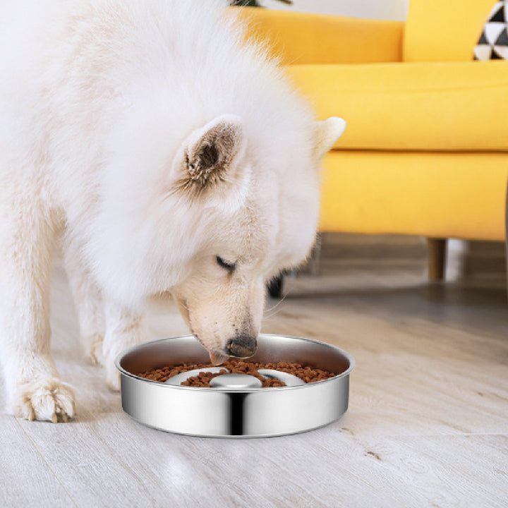 Stainless Steel Pet Slow Feeding Bowl Neck Protector Dish