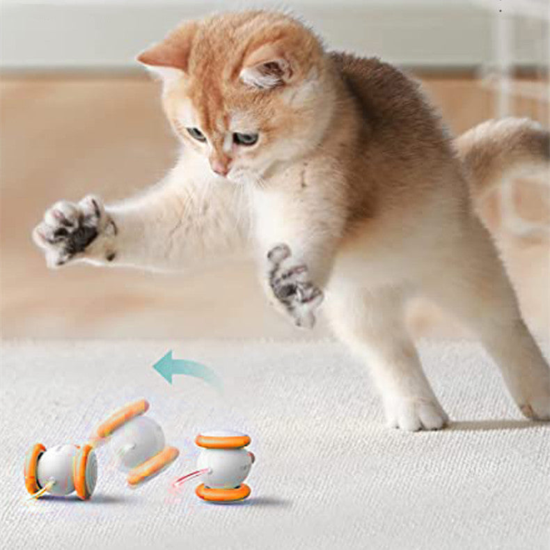 Electric Rechargeable Interactive Pet Teaser Toy