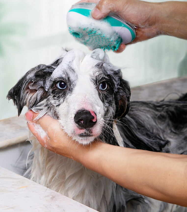 Pet Bath Massage Comb With Automatic Liquid Dispenser