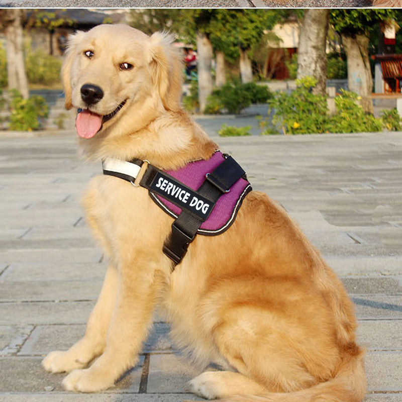 Large Breed Pet Harness And Leash Set Durable Control Gear