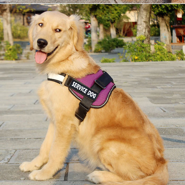 Large Breed Pet Harness And Leash Set Durable Control Gear