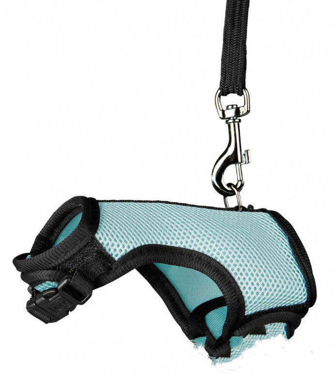 Lightweight Small Pet Leash Adjustable Walking Lead