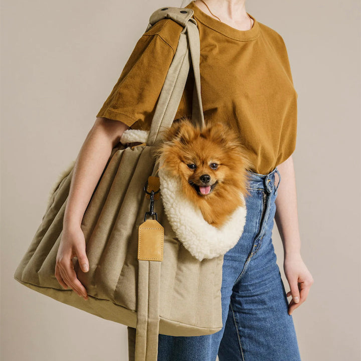 Lightweight Waterproof Pet Carrier Handbag For Travel