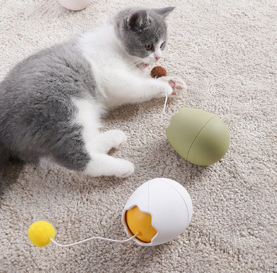 Interactive Funny Pet Play Toy Artifact