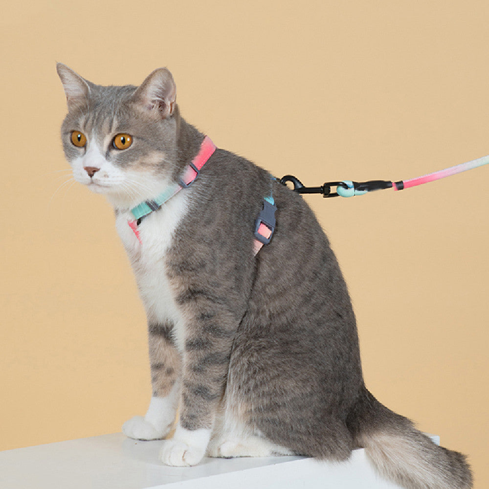 Fashion Anti Escape Pet Harness And Leash Set
