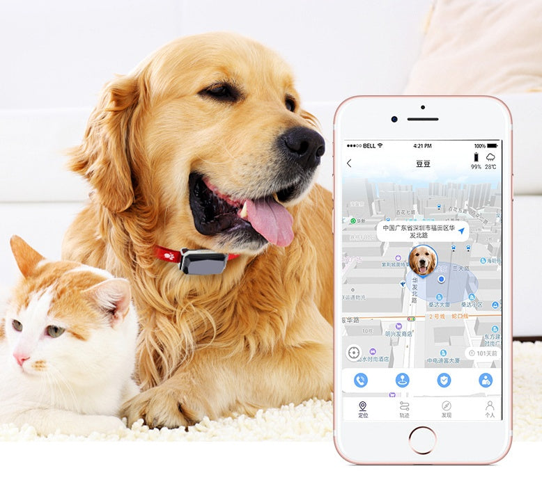 Beidou GPS Positioning Collar