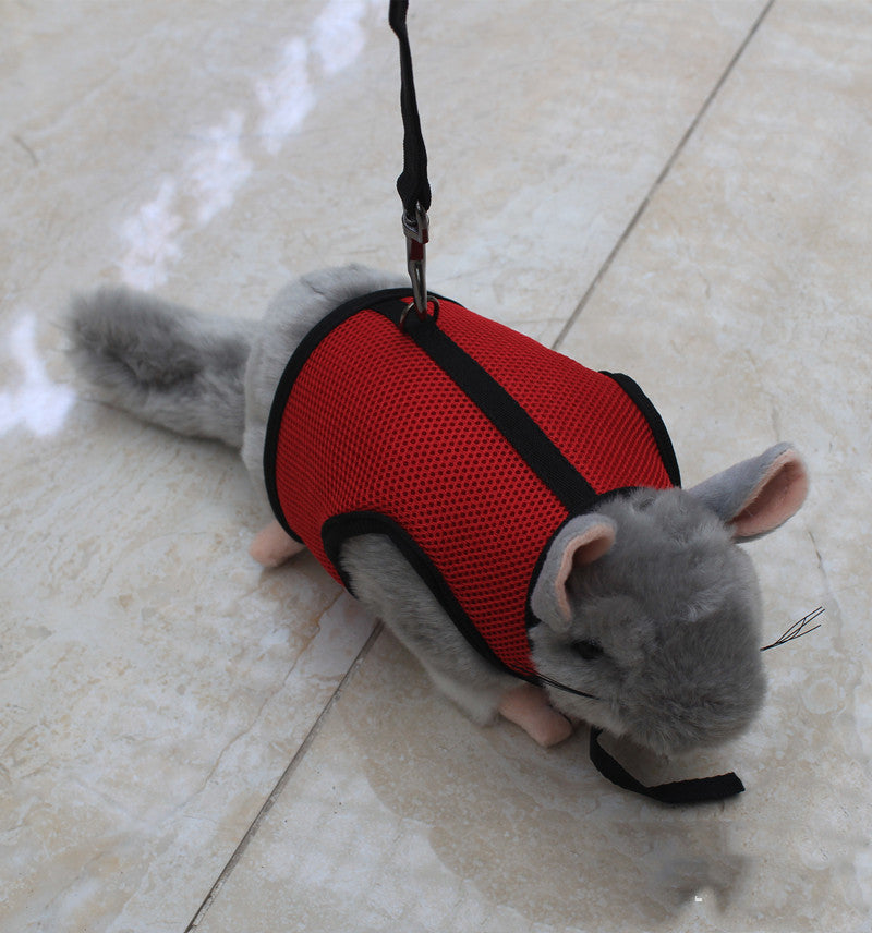 Lightweight Small Pet Leash Adjustable Walking Lead