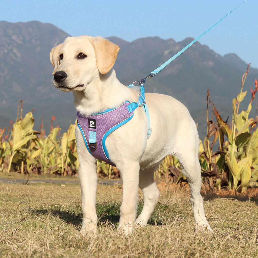 Breathable Adjustable Pet Harness And Leash Set