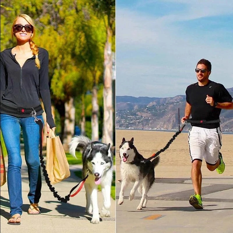 Adjustable Pet Harness And Collar Jogging Leash Set