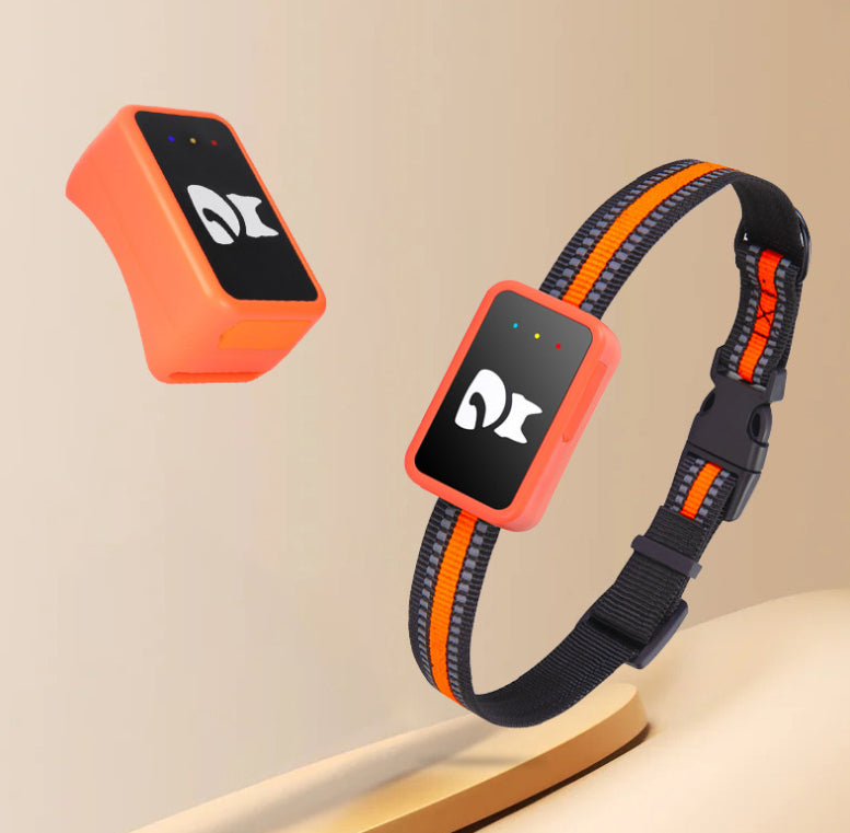 GPS Anti-Lost Pet Tracker Collar