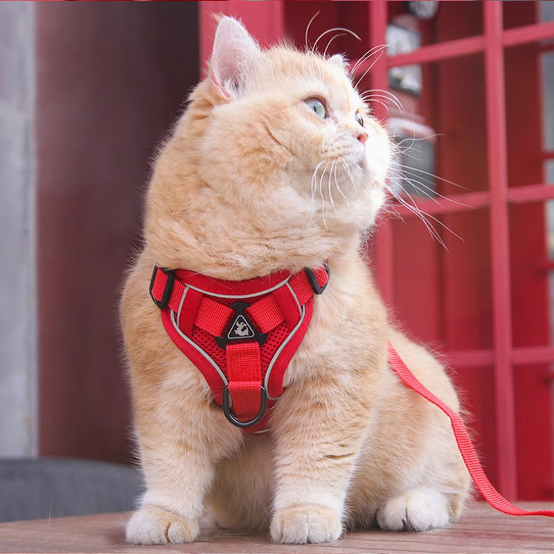 New Pet Harness Vest Chest Strap With Leash Set
