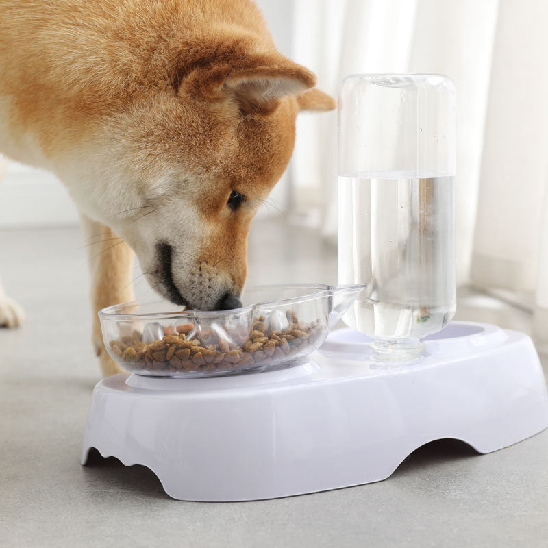 Transparent Pet Feeding And Drinking Bowl Set