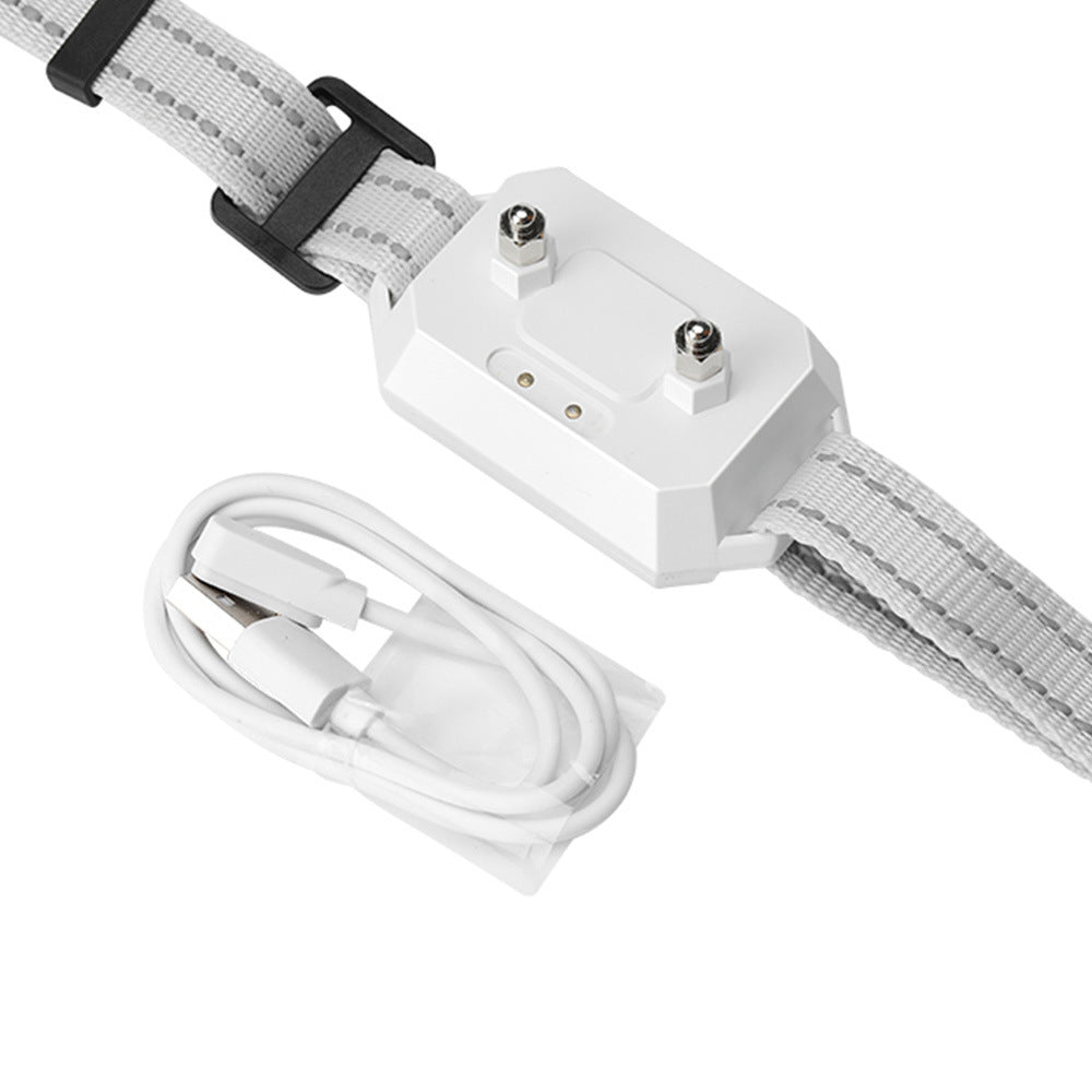 GPS Wireless Pet Training Fence