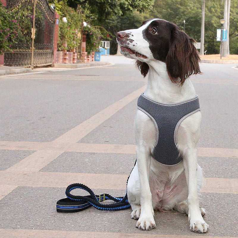 Vest Style Pet Harness And Leash Durable Control Gear