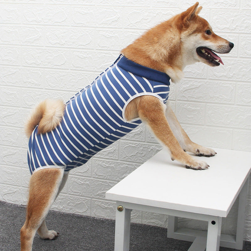 Multi Color Fashion Pet Clothing Apparel Collection