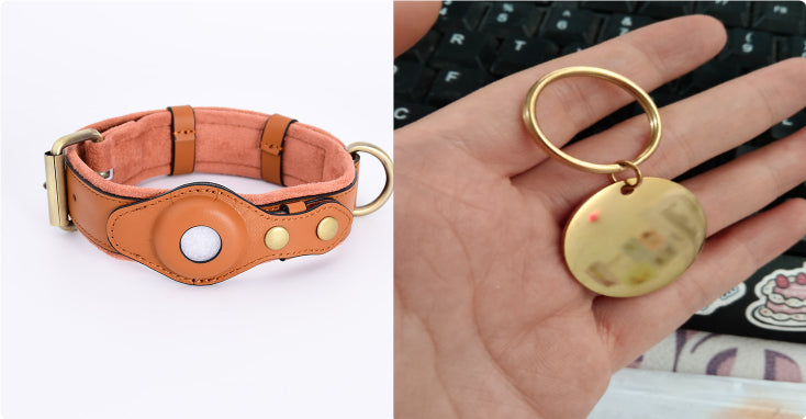 GPS Anti-Lost Collar Protective Case